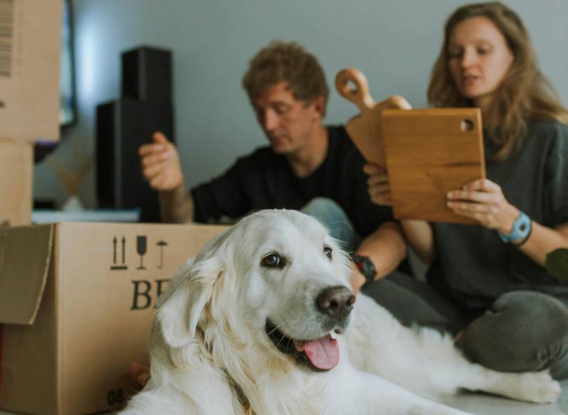 professional movers; moving services; local and long-distance moving; stress-free moving; packing and relocation; moving day preparation; licensed and insured movers; full-service moving company; affordable moving solutions; moving checklist; packing list for moving; organized moving process; stress-free relocation; moving truck in a neighborhood; professional movers carrying boxes; local vs. long-distance moving; interstate moving services; comparing moving company quotes; choosing the best moving company; finding licensed movers; affordable moving services; packing fragile items; bubble wrap and packing supplies; efficient packing techniques; professional packing services; moving in Minneapolis; local moving guide; Twin Cities relocation; best moving company in Minnesota; saving money on moving; budget-friendly moving tips; moving cost-saving strategies; professional movers vs DIY moving; full-service moving benefits; safe furniture moving; heavy lifting safety tips; moving truck loading; pet-friendly moving tips; moving with pets; keeping pets safe during a move; hidden moving costs; unexpected moving expenses; avoiding moving scams; winter moving tips; moving in cold weather; snow and ice moving precautions; decluttering before moving; downsizing before relocation; organizing before a move; moving day timeline; step-by-step moving day plan; unloading moving truck; settling into a new home.